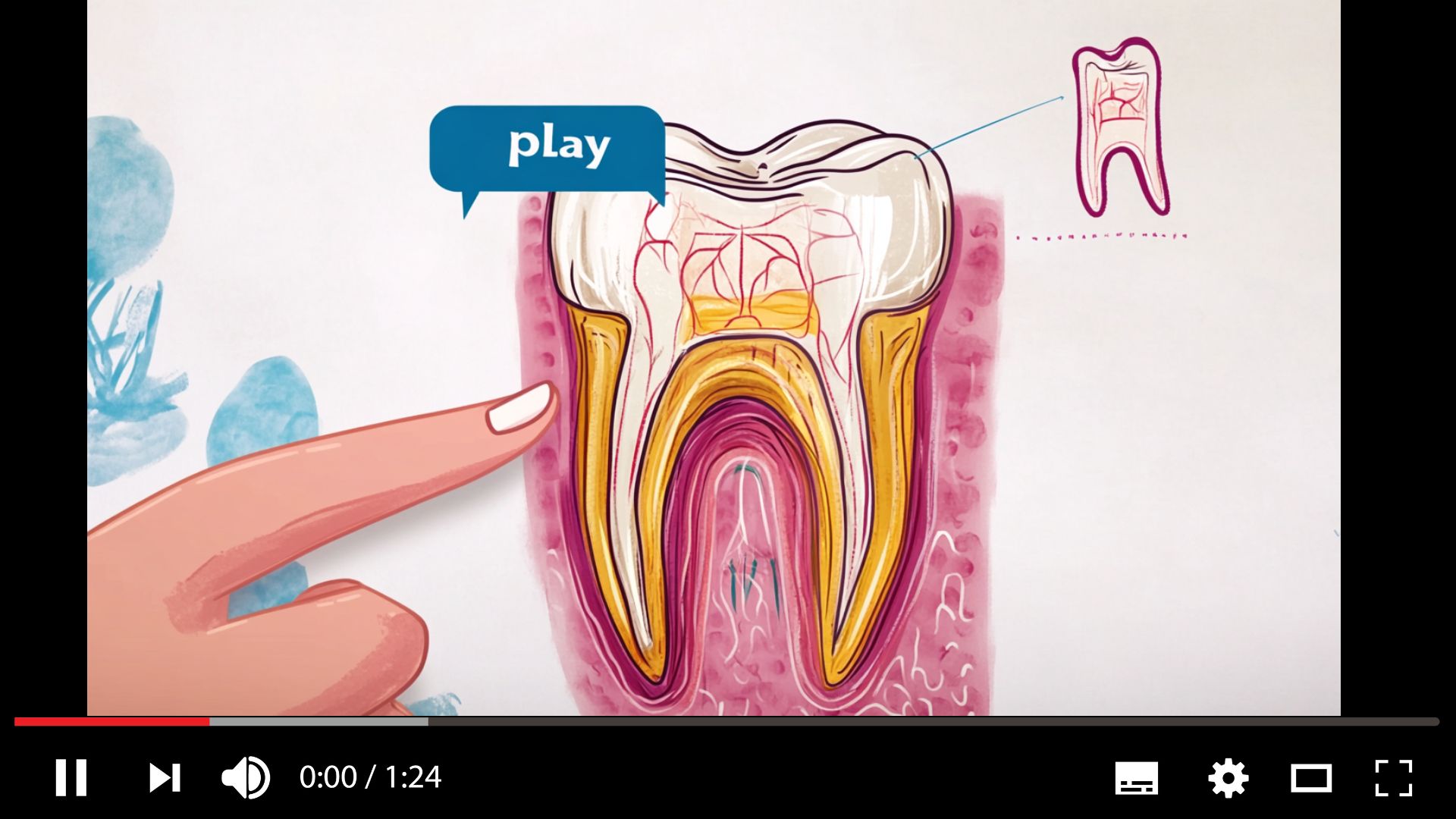 ProvaDent toothbrush