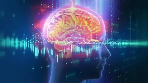 Mindful Advantage Free Sample